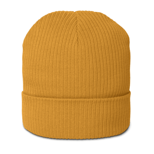 Organic Ribbed Beanie Atlantis